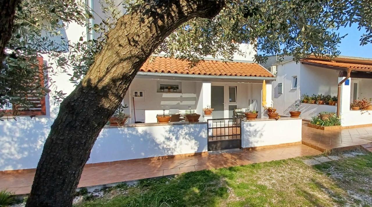 Karmelo Appartment Davorka 罗维尼 外观 照片